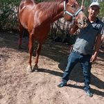 Gustavo Olivas Melero - @melero_gustavo - Instagram