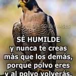 Gustavo Ernesto Payano Santana - @gustavoernestopayano - Instagram