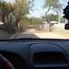 Gustavo Ramírez - @gustavo.ramrez65 - TikTok