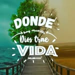 gustavo toro - @gustavotorolopez - Instagram