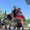 Gust2727 - @gustavo.ulloa7 - TikTok
