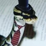 Gustavo Vasques - @hewzack - Instagram
