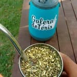 Gustavo Vasques - @gust_avovasques - Instagram
