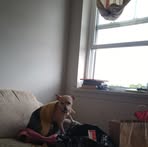 Tammy Fox-Guthrie - Facebook