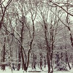 Guthrie Johnson - @potingen - Instagram