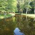 Guthrie Smith Park - Facebook