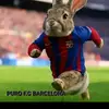 Gutierrez Castro672 - @gutierrezcastro67 - TikTok