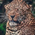 Gutierrez Diaz Frnk - @andres.silv.73 - Instagram