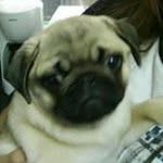 Luis Gutierrez Diaz - @gutierrezdiazl - Instagram
