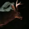 guy named abel - @skullface982 - TikTok