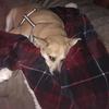 Guy Adkins697 - @guyadkins697 - TikTok