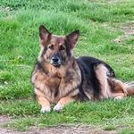 Guy Adkins - @guyadkins13 - Instagram
