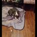Guy Adkins - Facebook