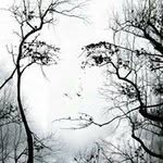 Guy Aholia - @guyaholia - Instagram
