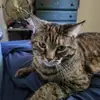 Guy Alexander - @guy.alexander8 - TikTok