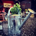 Guy Alexander - @guyalexandernz - Instagram