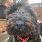 Guy Barnes - @lguyb - Instagram