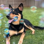 Guy Bartholomew Gonzales - @hi.imguy - Instagram