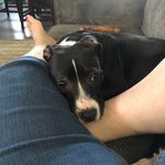 Guy Blackwell - @blackwell.guy - Instagram