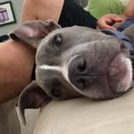 Guy Boyd - @guy.boyd - Instagram