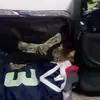 anthonybradfordguyman - @anthonybradfordguyman - TikTok