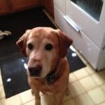 Austin Brazell - @caringguy31 - Instagram