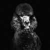 Guy Buck - @icramu - TikTok
