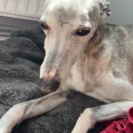 Guy Burgess - @burgess_guy - Instagram