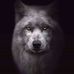 Guy Caron - Facebook