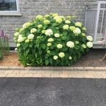 Guy Carrier - @guy.carrier.94 - Instagram