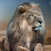 Guy Chaney - Facebook