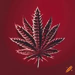 followmecuz - @collins_guy_ - Instagram