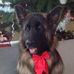 Guy De Marco - Facebook