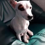 Guy Dumont - @guy.dumont.3954 - Instagram