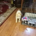 Guy duncan - @guyduncan55 - Instagram