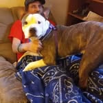 Guy Dyer - @guy.dyer.750 - Instagram
