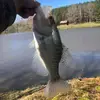 farmerguy261 - @farmerguy261 - TikTok