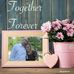 Christine N Guy Ferrell - Facebook