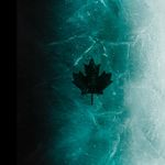 Noah Ferrell - @ferrelltha_guy - Instagram