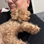 Jean-guy Gagnon - @changuy84 - Instagram