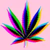 🌿GanjaGuyGale👽 - @ganjaguygale - TikTok
