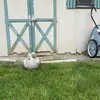 Gardner_Guy - @gardner_guy - TikTok