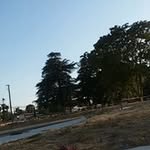 Guy Gardner - @gardner.guy - Instagram