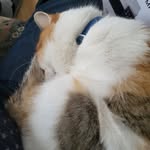 Guy Gaudreault - @guygaud27 - Instagram