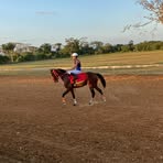 Gilmar Guy - Facebook