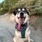 Guy Gilmore - @sierrasagestudio - Instagram