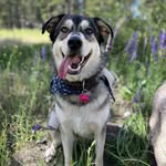 Sage and Guy Gilmore - @the_wonderful_world_of_sage - Instagram