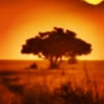 Guy Gore - @safarifarms - Instagram