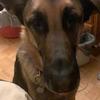 Guy Gosset - @guy.gosset3 - TikTok