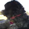 guyguidry - @guyguidry - TikTok